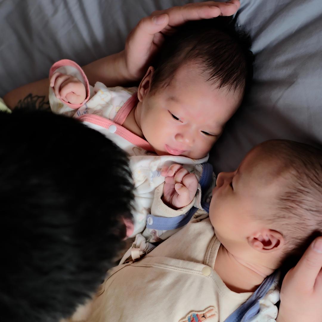 绿安博龙凤上岸