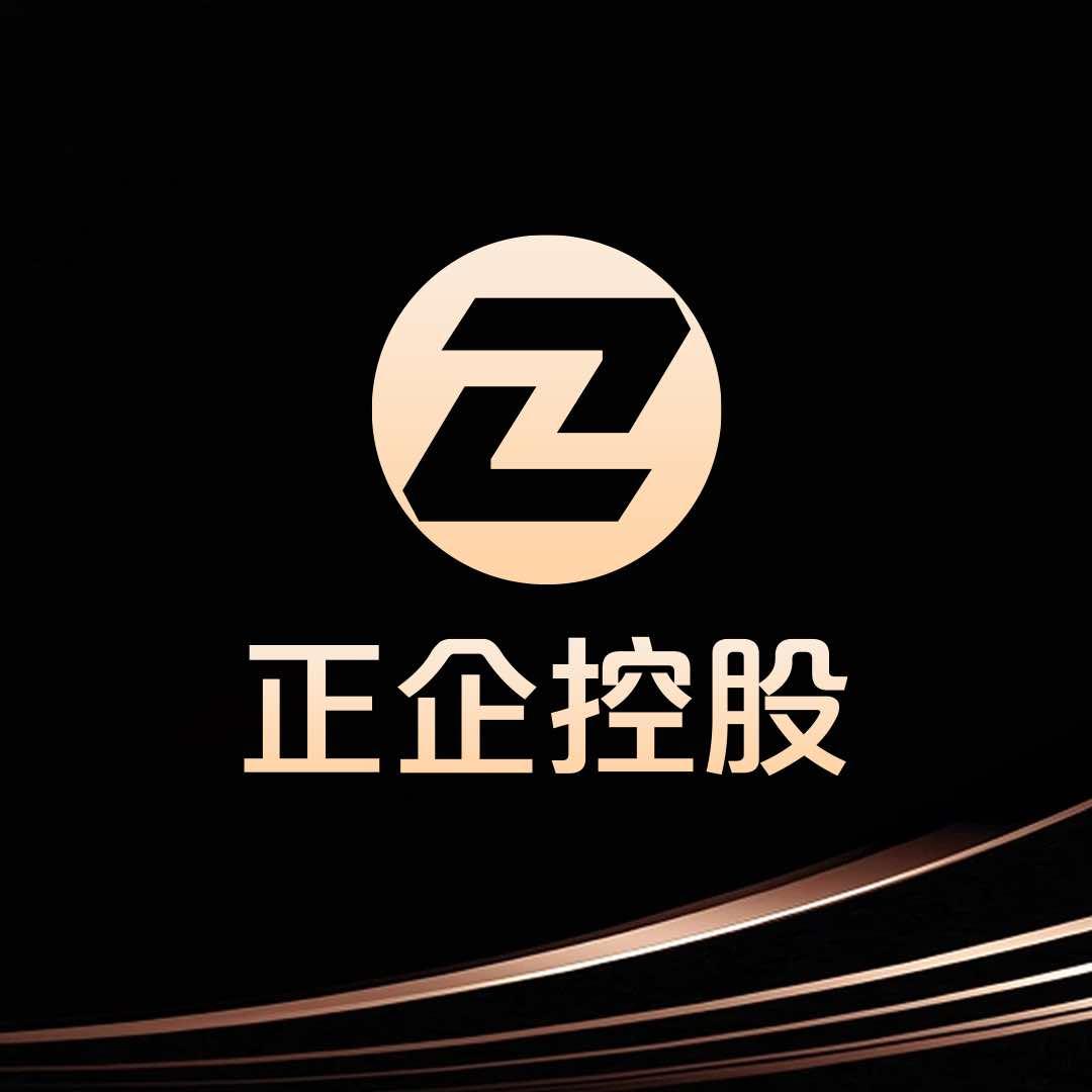 正企控股