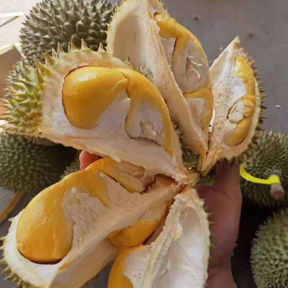 濮阳市华龙区小龙人果之源店