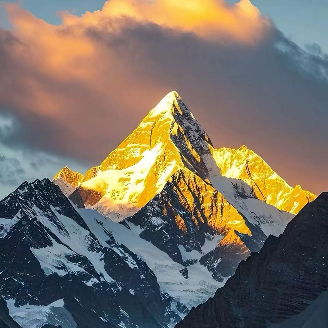 通佰五金建材(虹兴苑店)好的额872厘米直播号