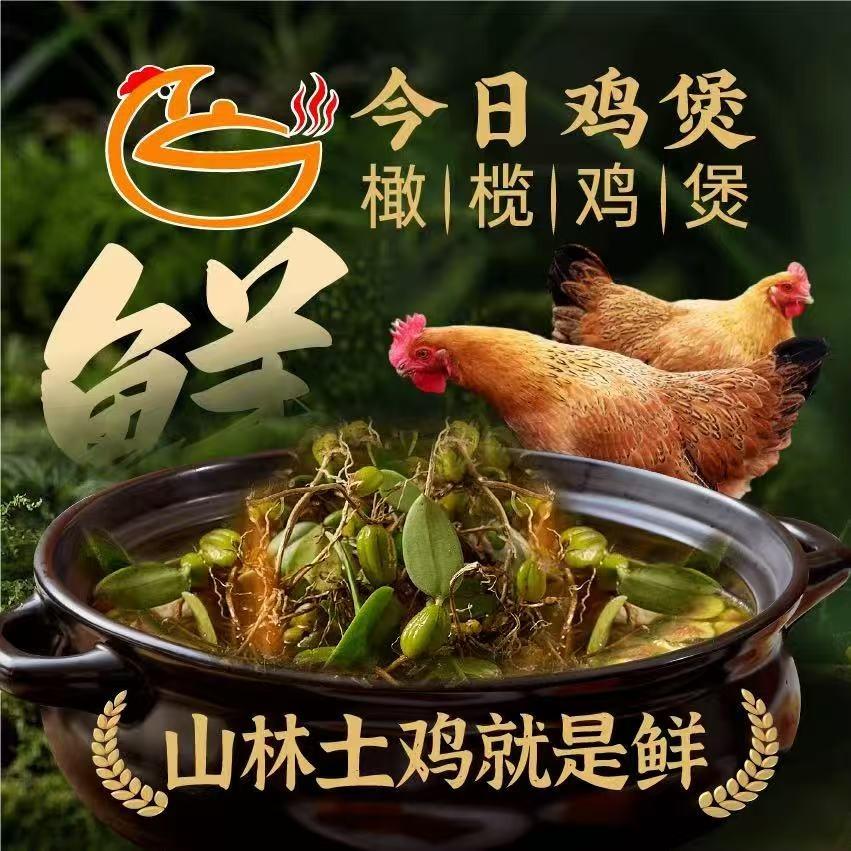 今日鸡煲(罗湖益田假日广场店)专用号