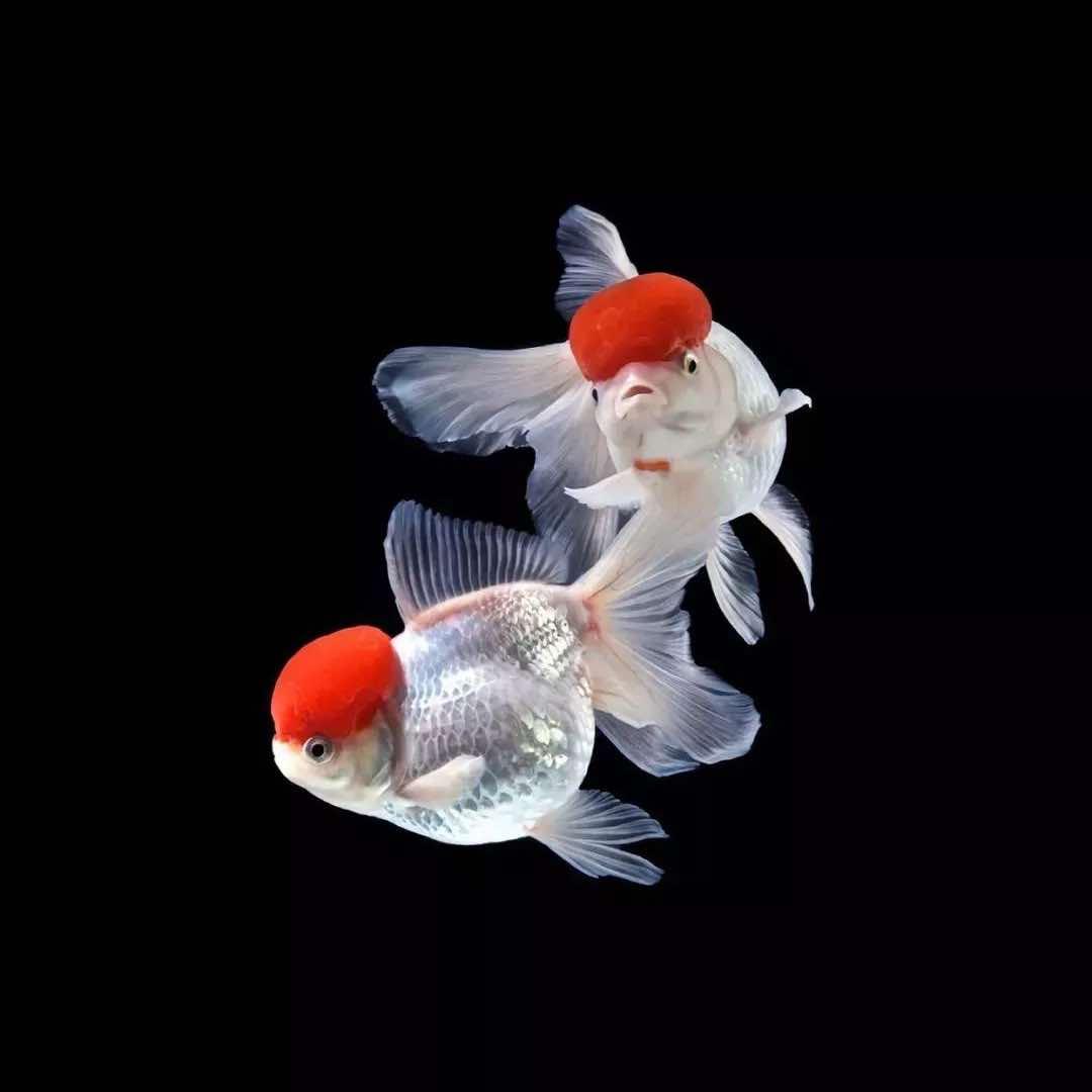 西昌洁福温泉山庄