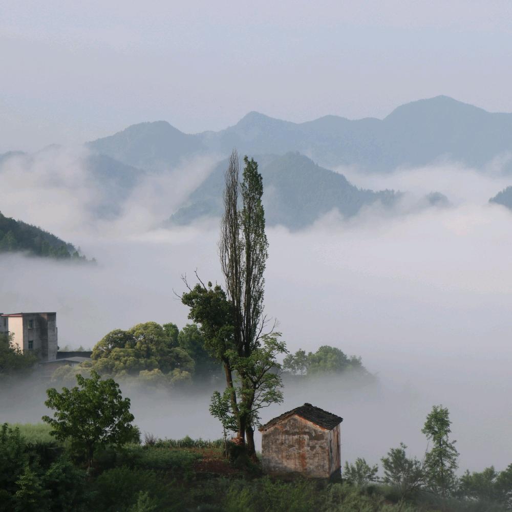 坡山惠民农家乐