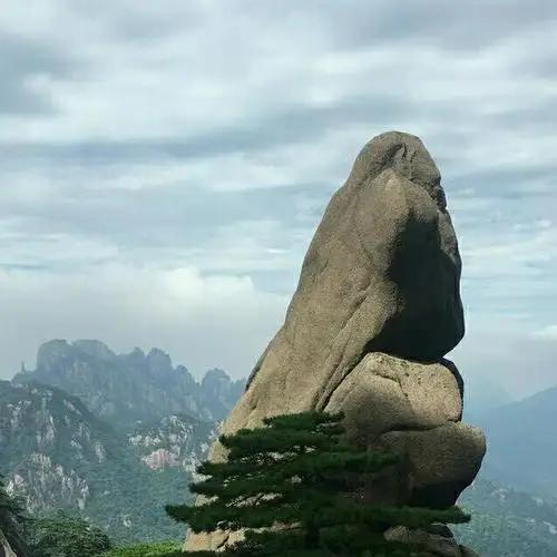 怡君小优百货号