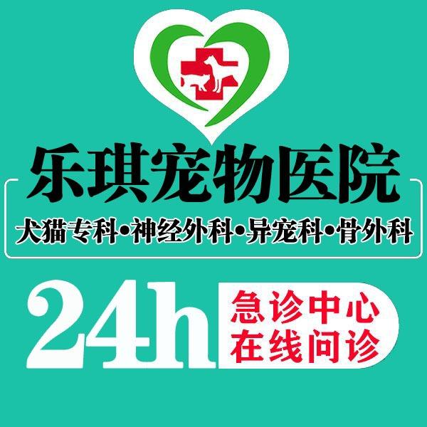 乐琪宠物医院●24h犬猫急重症●异宠专科