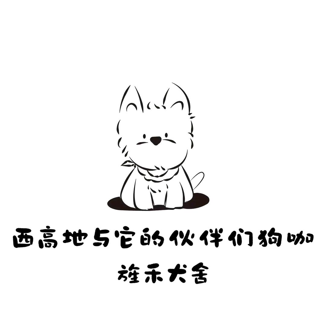 西高地与它的伙伴们狗咖&旌禾犬舍