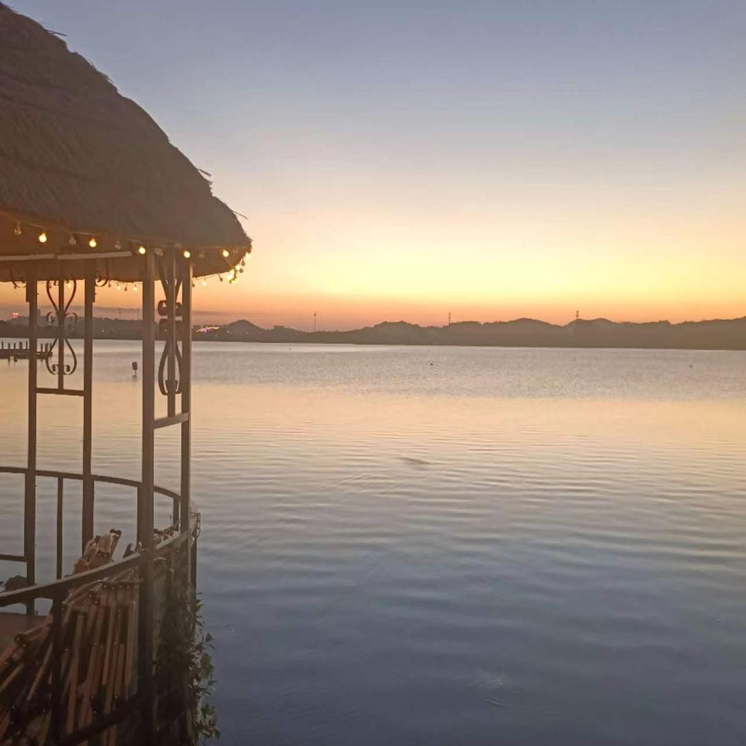 杨二都林官方账号