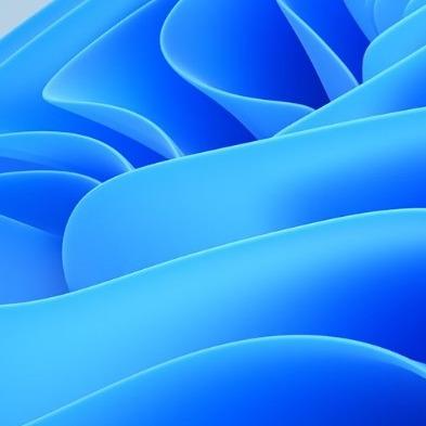 梦动9830的直播号