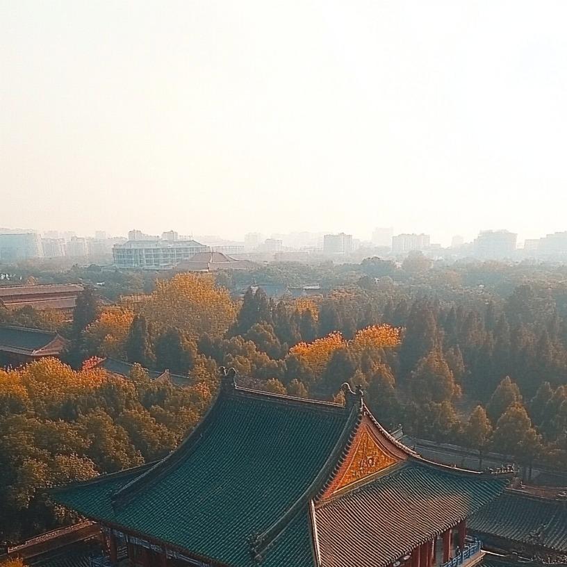 晨此-辉哥宠粉号