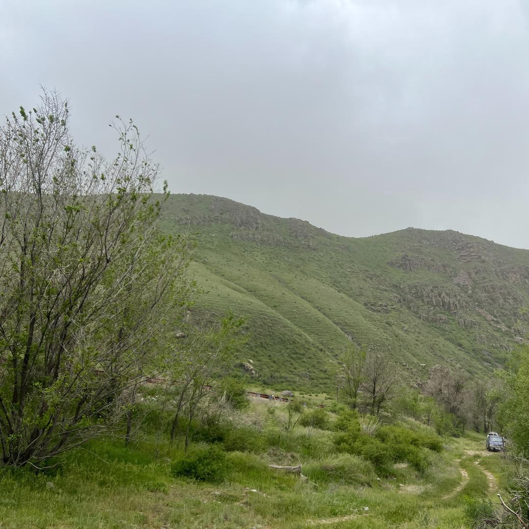 莱万青青直播号