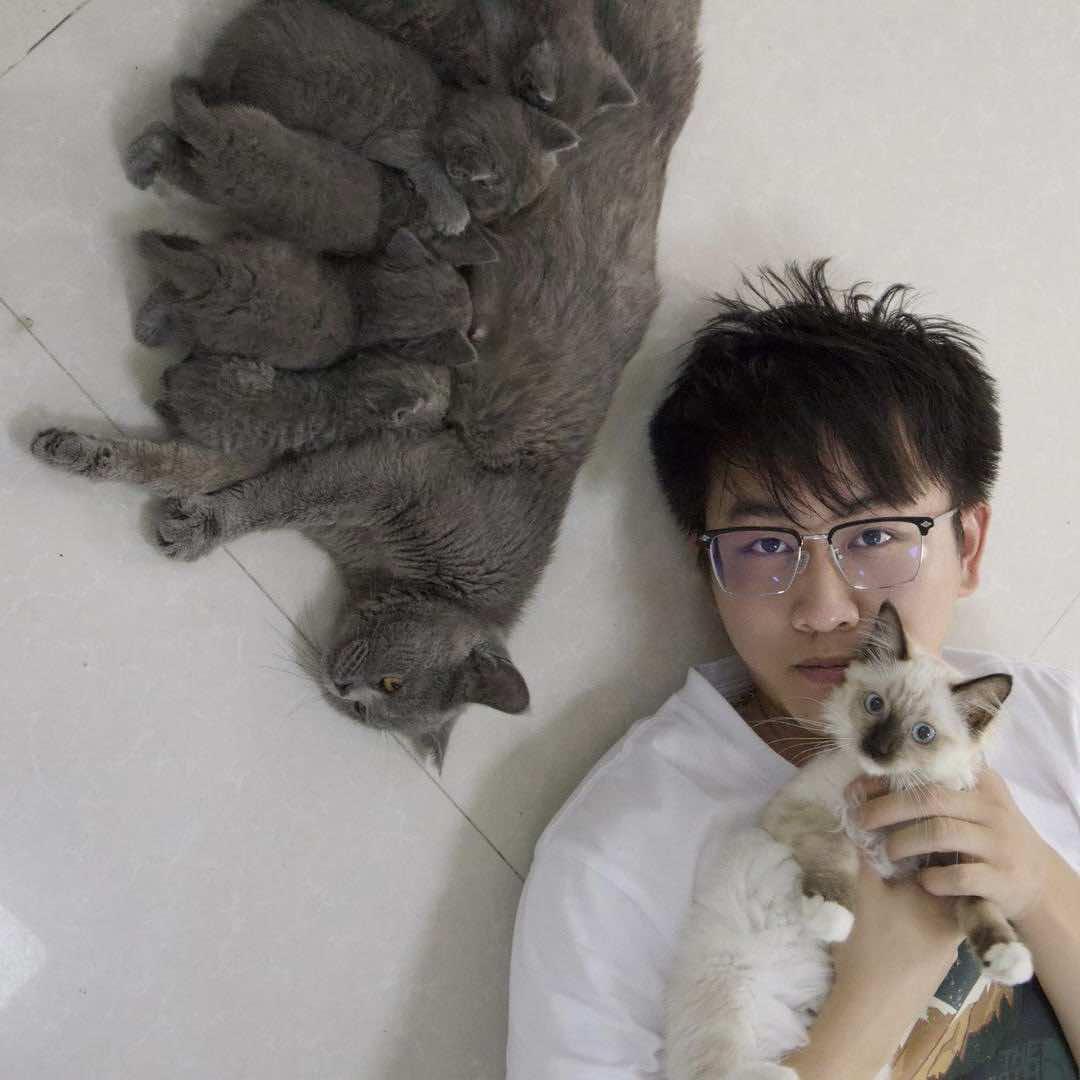 羊了个喵•汪宠物生活馆