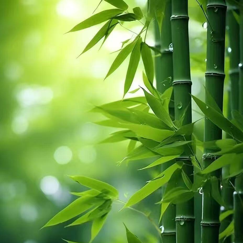 金来1314.榕益耀