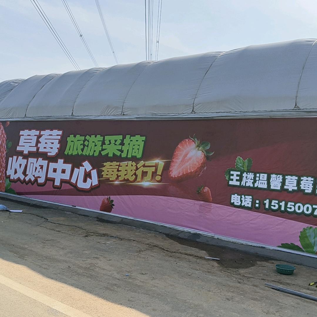 王楼温馨草莓采摘园官方号