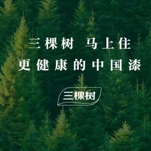 三棵树艺术漆（云河路店）