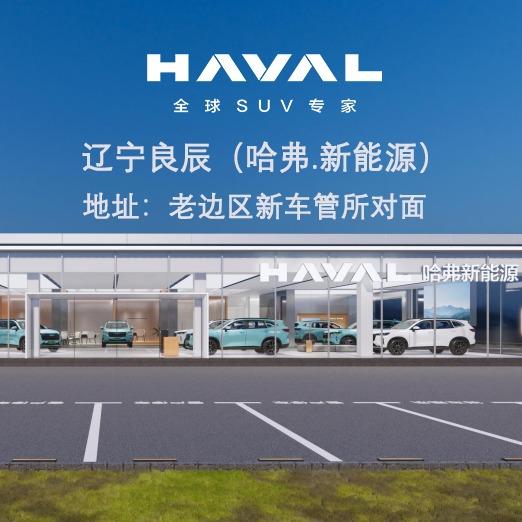 哈弗新能源（辽宁良辰新车管所店）