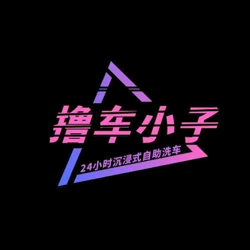 撸车小子24小时自助洗车（城东南路店）