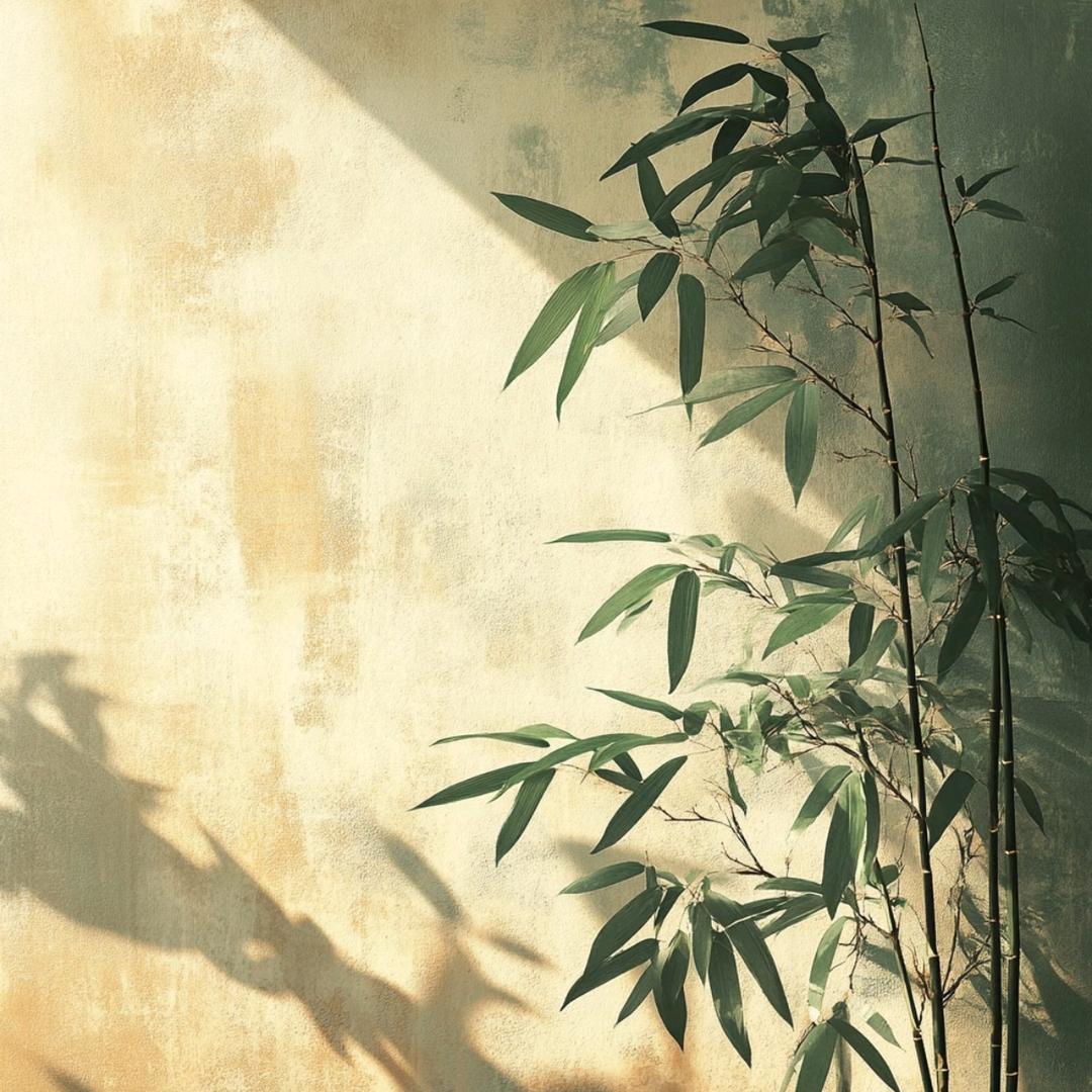 旭崎叶宠粉51号