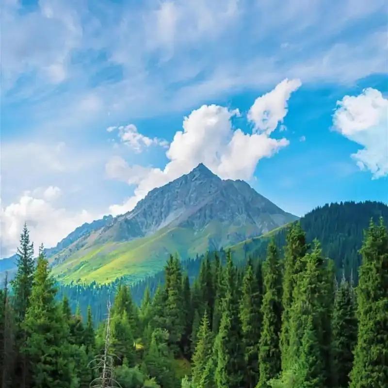 德明液化气炉具商店惟文艺馆服务号