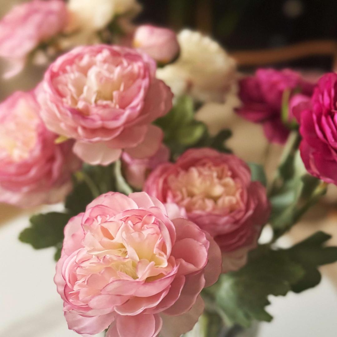 伊人肌秘美遇皮肤管理（高州店）