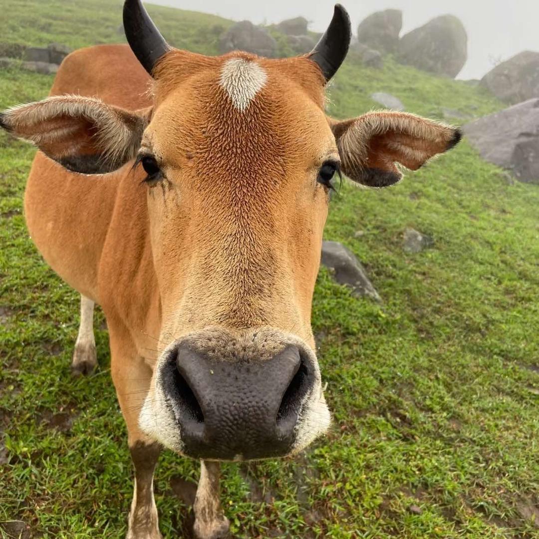 振宇生鲜牛肉（中央世家北沿街）