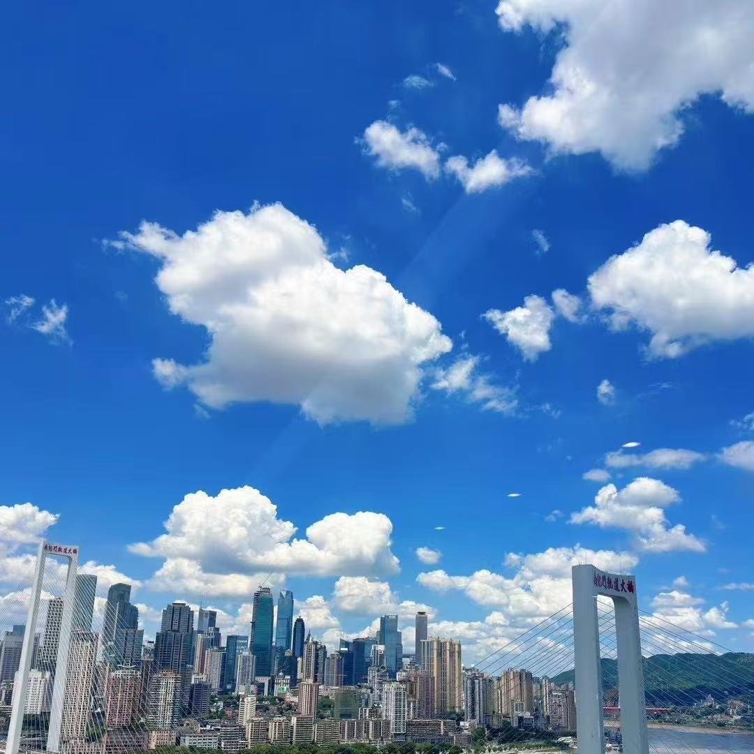 厦门瑞意特官方号