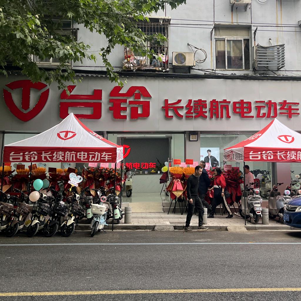 武汉黄鹤楼静姐台铃电动车(民主路店)
