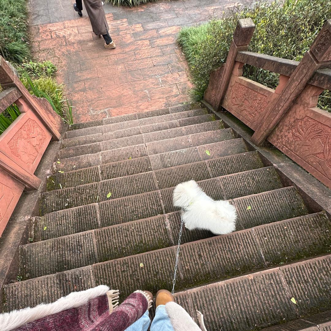 小燕子啊直播号