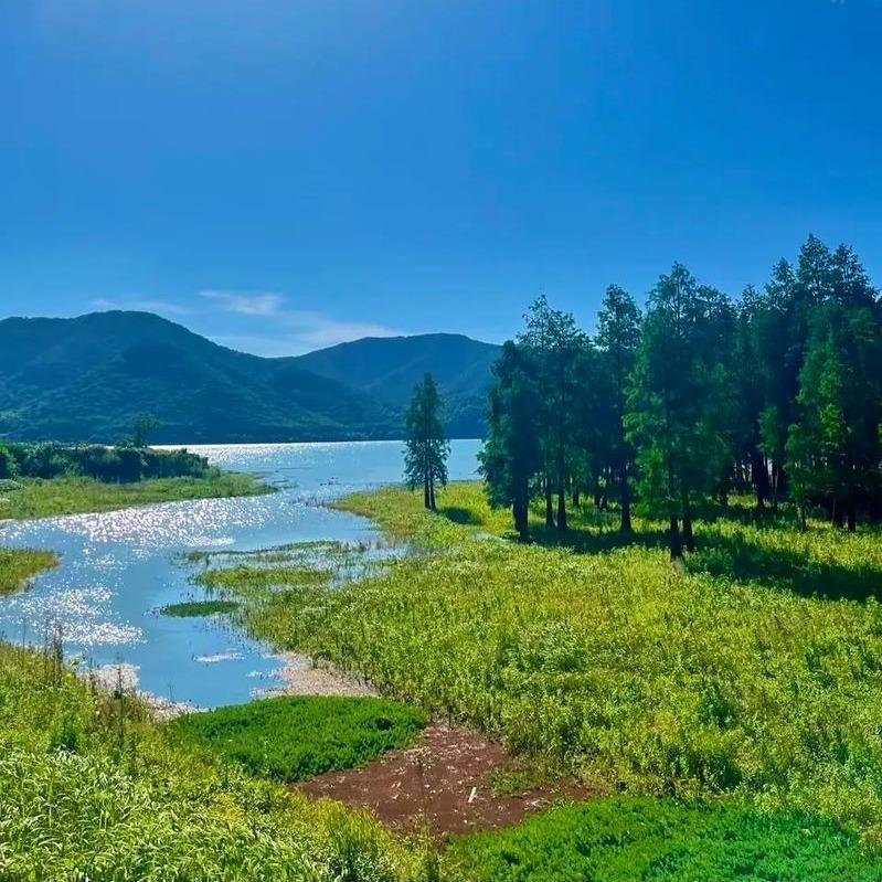 广东佳和盛世甄选直播间