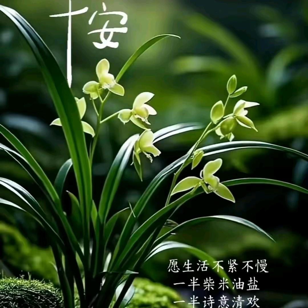 明感