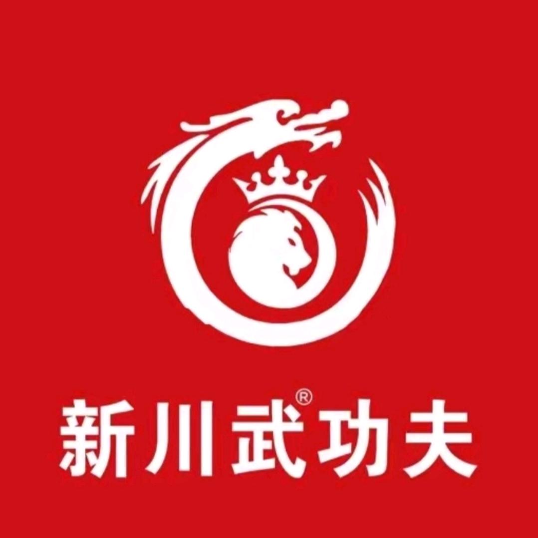 巴中新川武功夫官方号