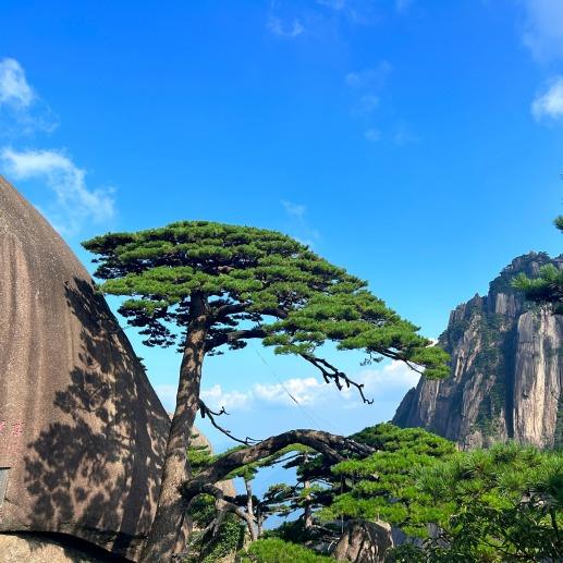 莘县觅特食品官方号