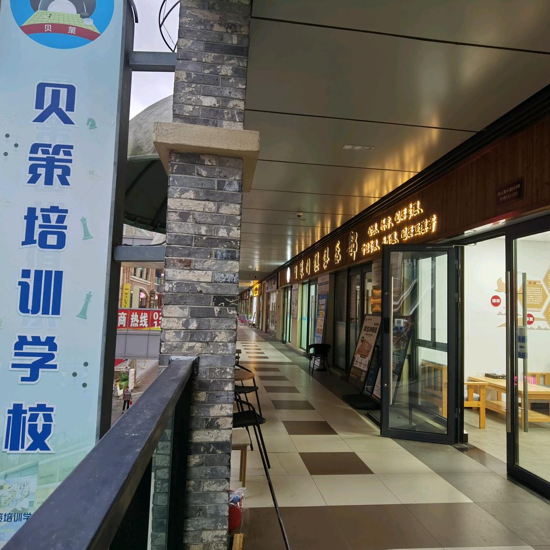 上海青浦贝策 .围棋. 国际象棋. 桥牌