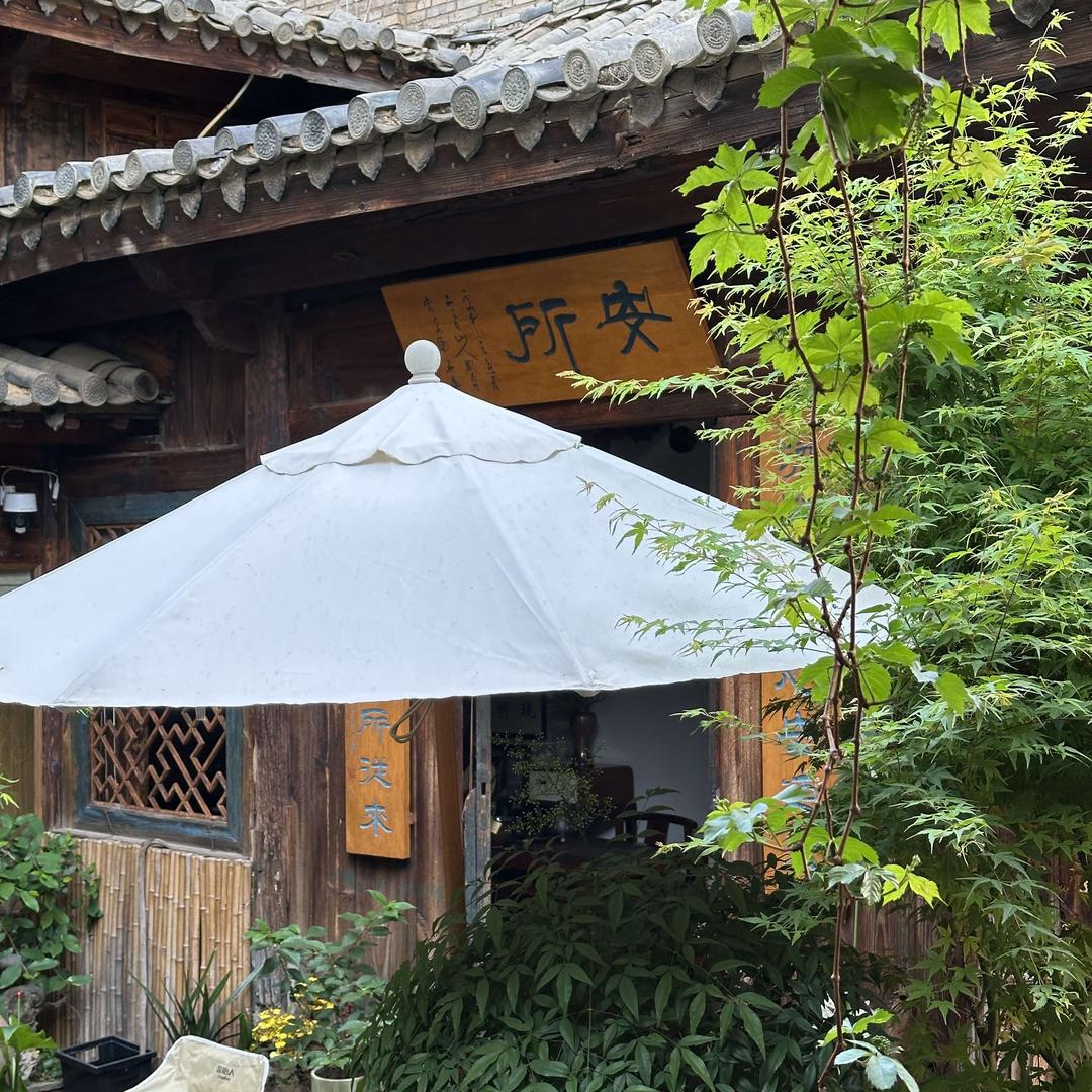 金运来安所茶院小茶宠