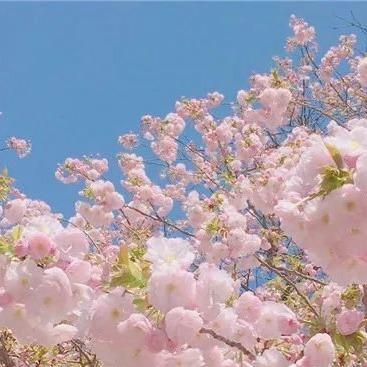 燕塘牛奶(保利林海山庄专卖店)峤固营销号