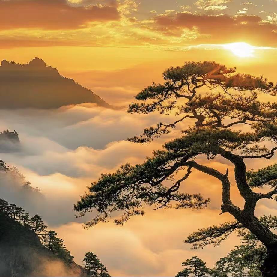 赫山区曹艳腻商贸行（个人独资）YKL直播