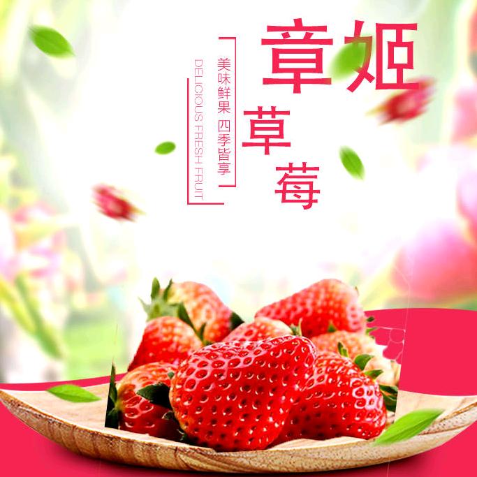 开心果品购销
