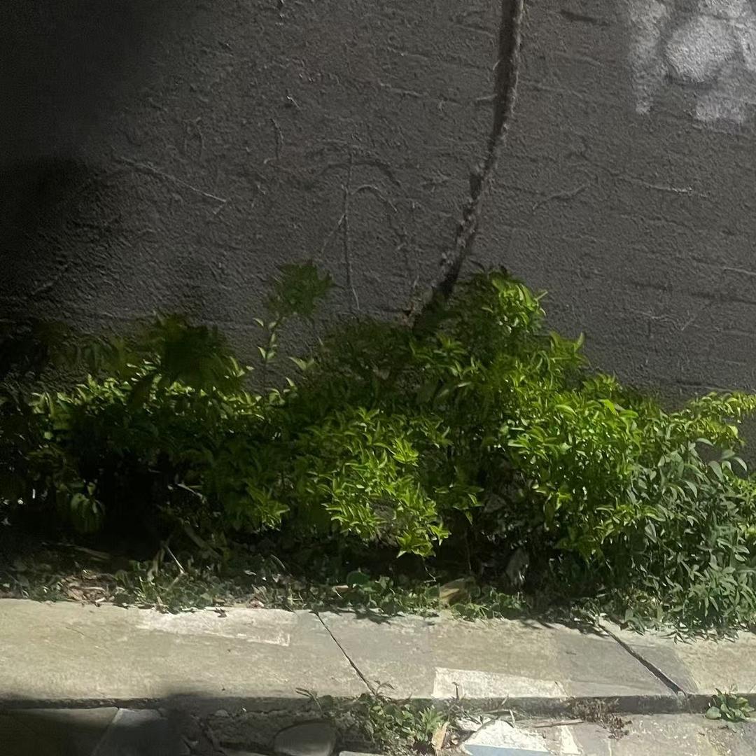 深圳市淮诺劳务有限公司学员号