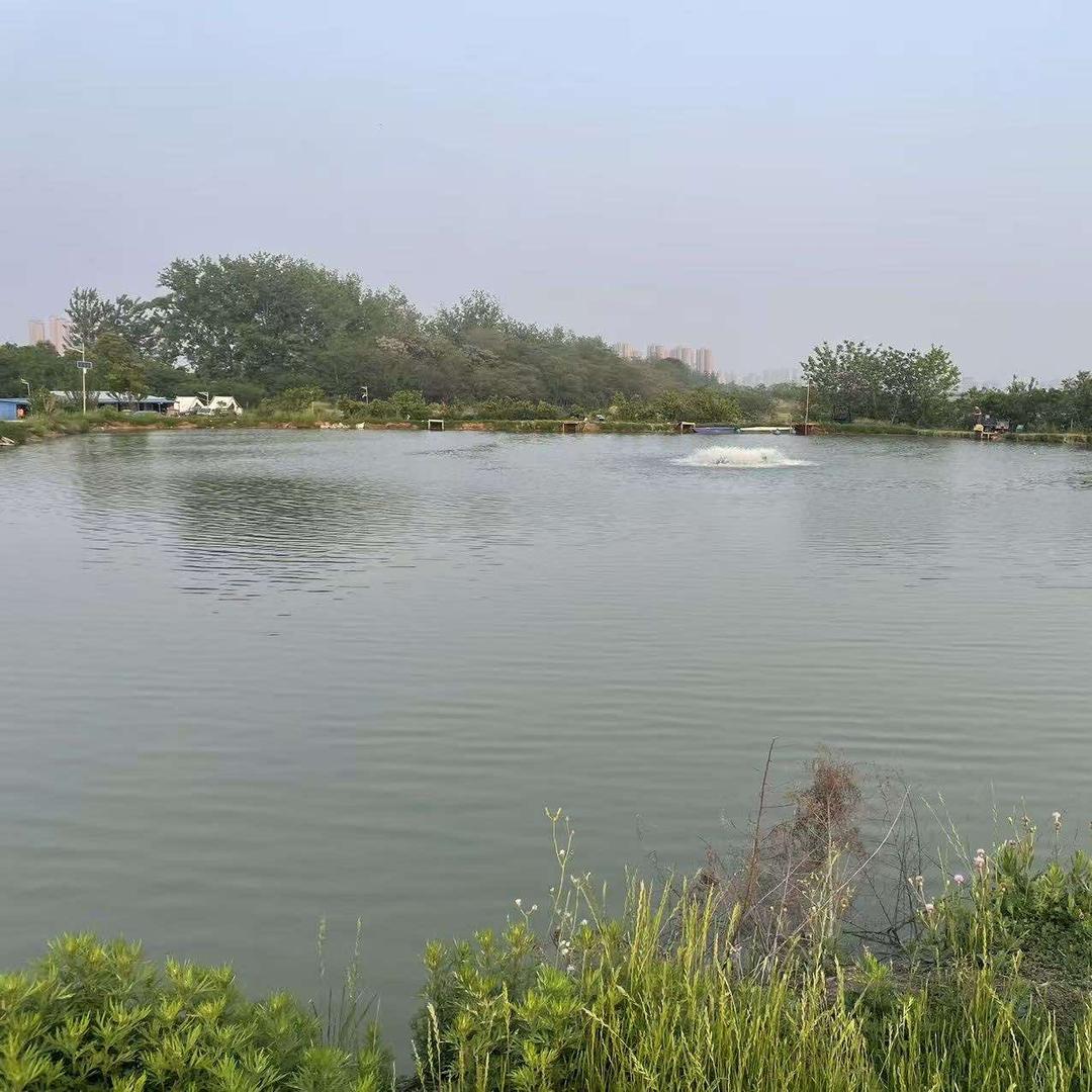 在水一方休闲垂钓中心