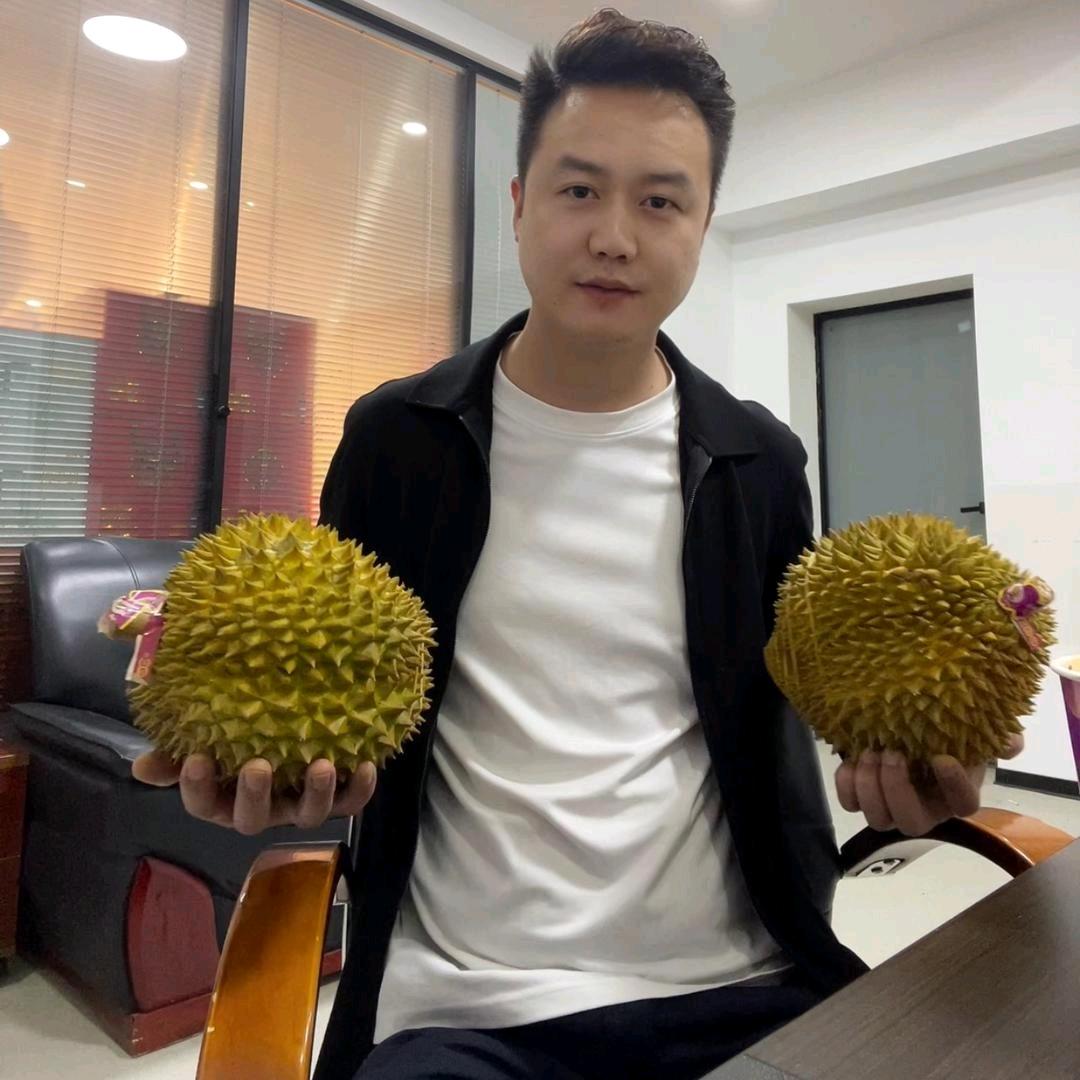 觅果趣·大象树熟