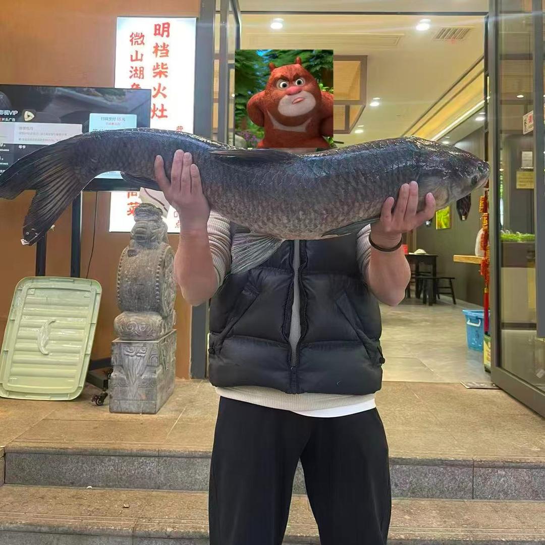 微山湖鱼馆官方号