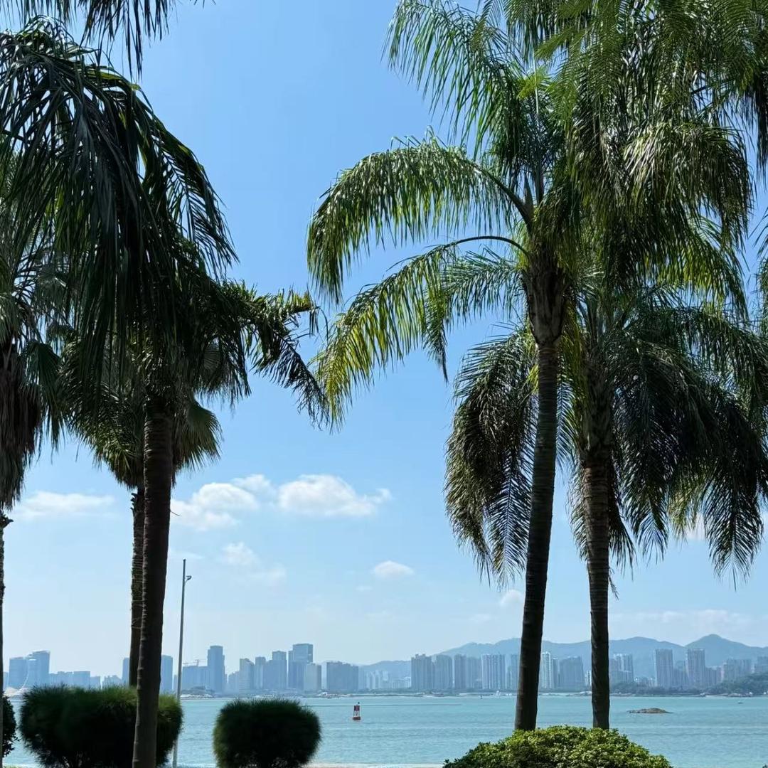 力鸿能源直播52号