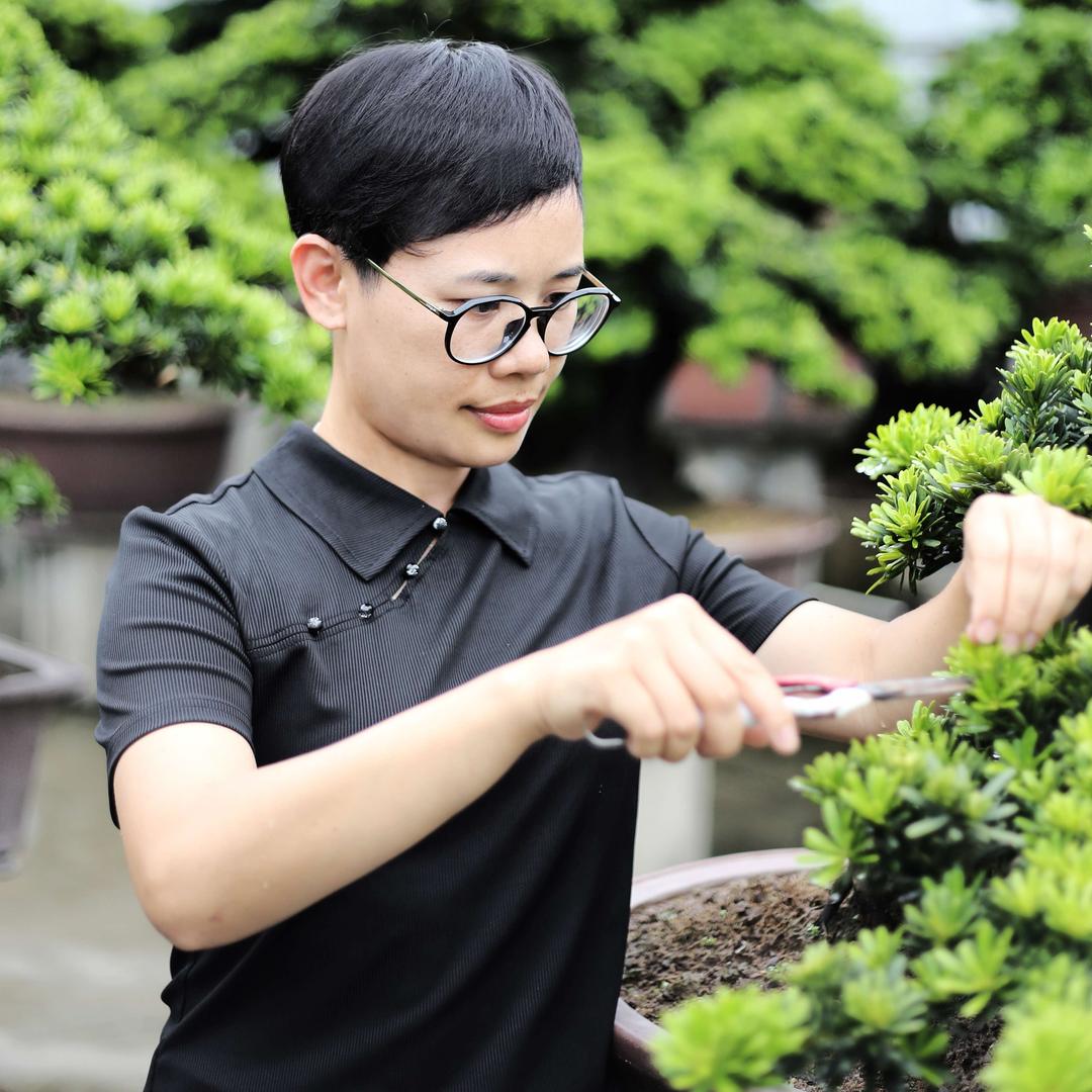 佛山好丰景罗汉松产品中心