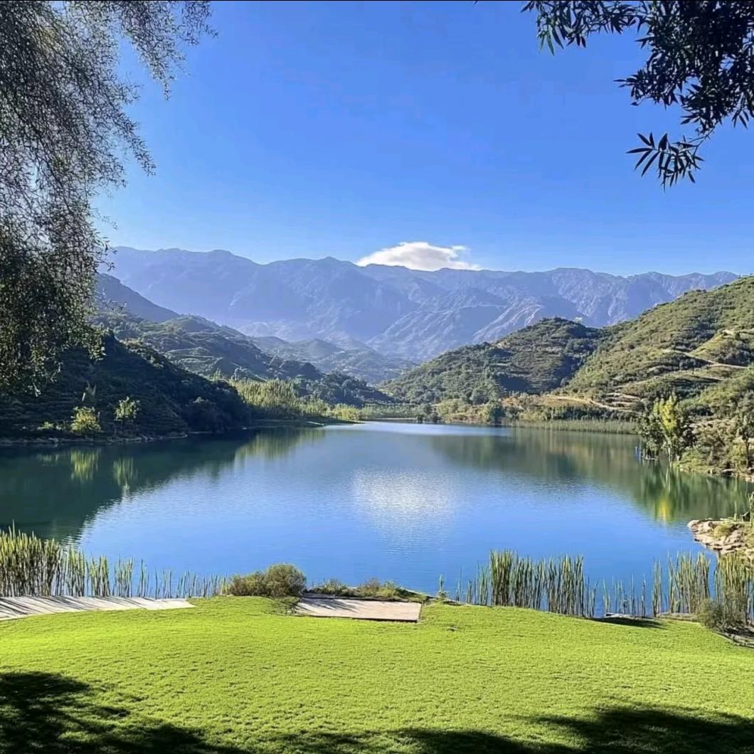 阿华美佳百货号