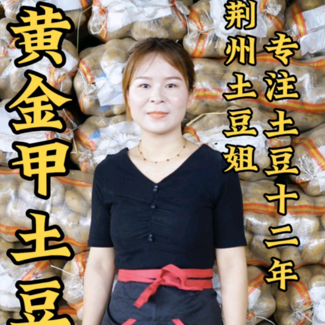 黄金甲土豆(荆州土豆姐)