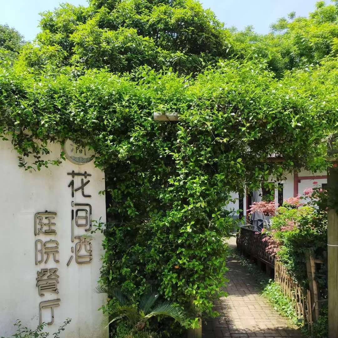 花间酒餐厅