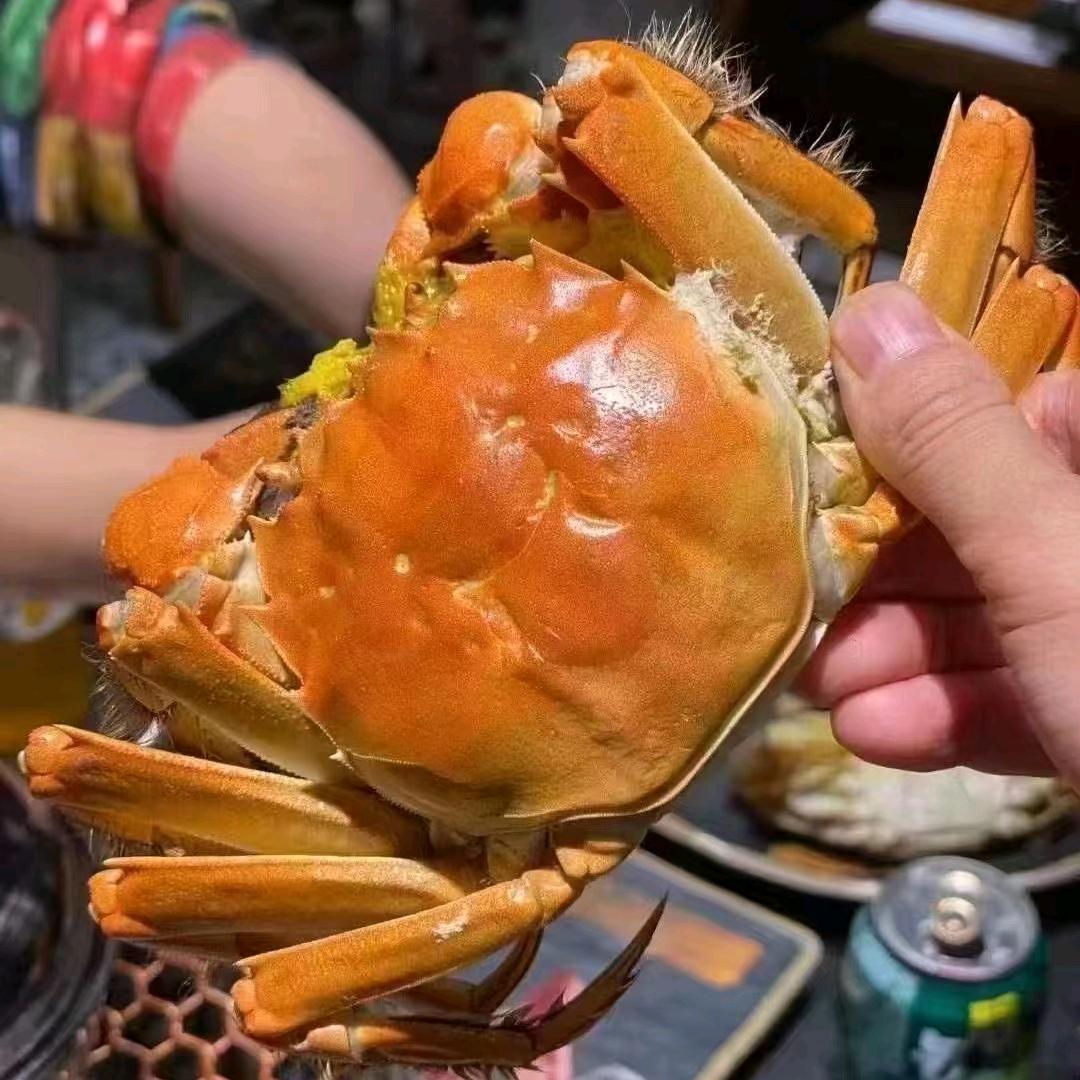 阿爽精品大闸蟹