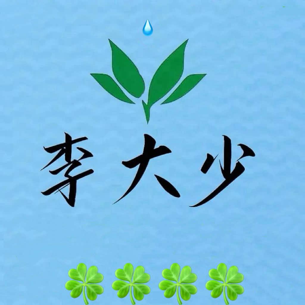 沈阳亿航网约车(李大少)