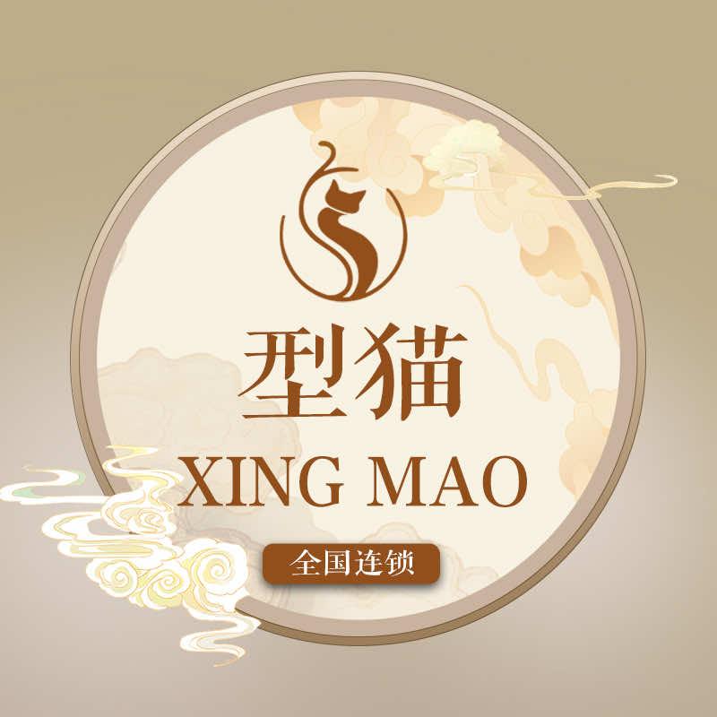 型猫养生健康