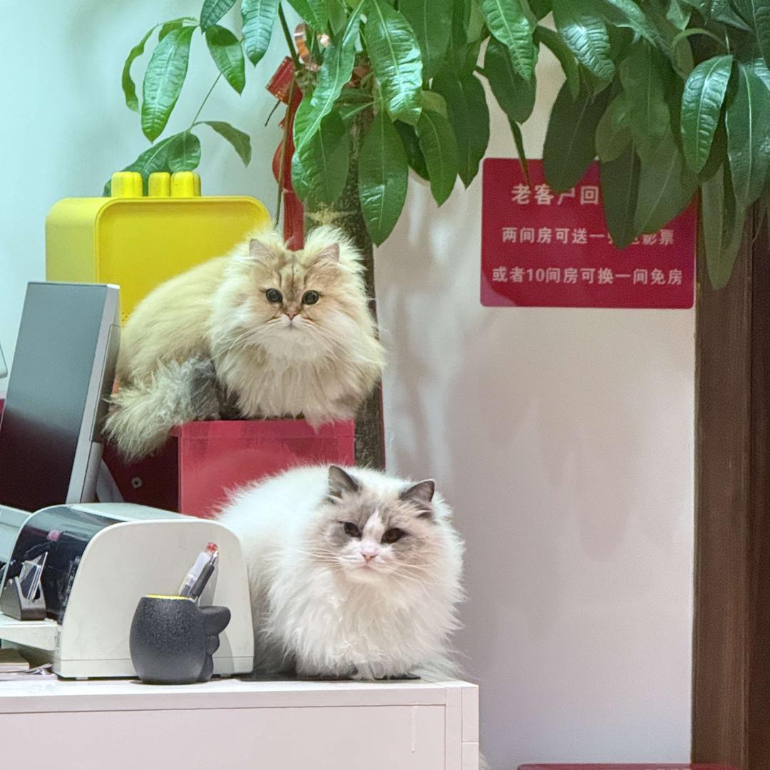 艳子坞精品客栈