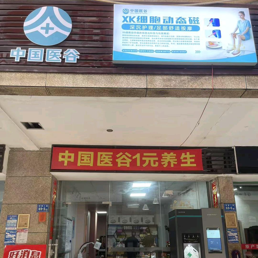 中国医谷
